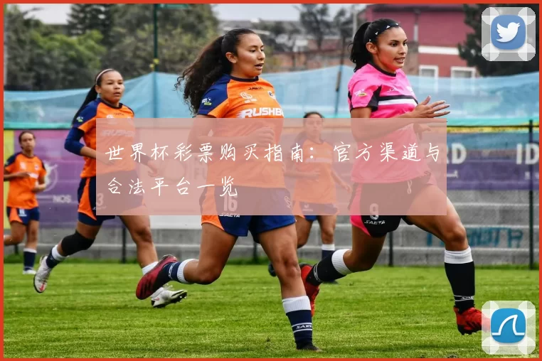 世界杯彩票购买指南：官方渠道与合法平台一览