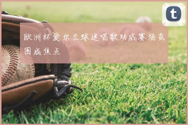 欧洲杯爱尔兰球迷唱歌助威赛场氛围成焦点