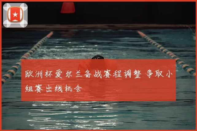 欧洲杯爱尔兰备战赛程调整 争取小组赛出线机会