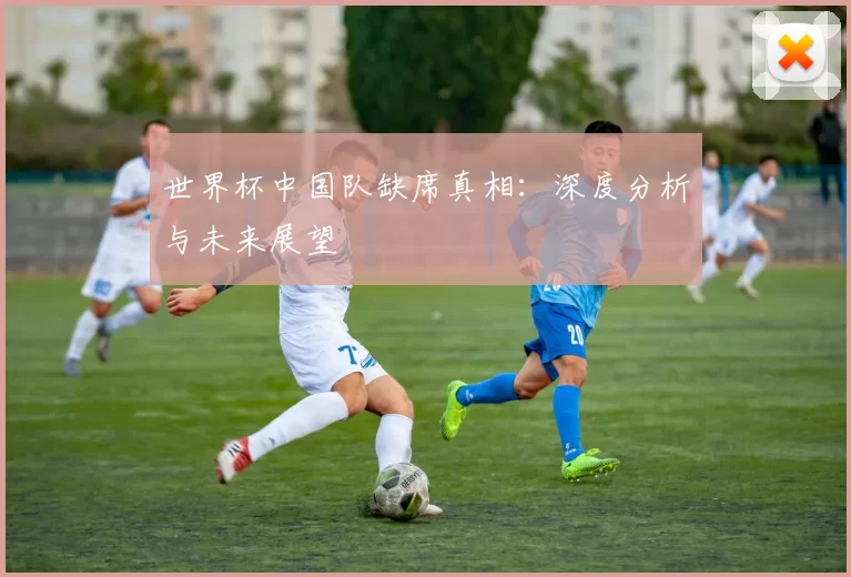 世界杯中国队缺席真相:深度分析与未来展望